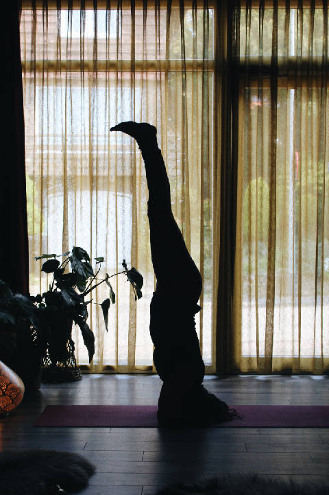 Safiraz Meditatie Studio Elsloo (Stein, Limburg)